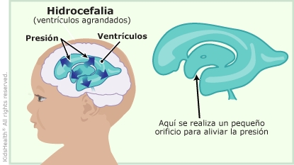 KidsHealth Image