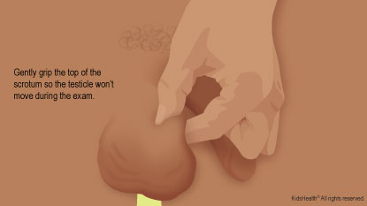 KidsHealth Image